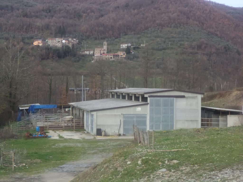 Hotel Le Chianine Dei Tognoli Gragnola Exterior foto