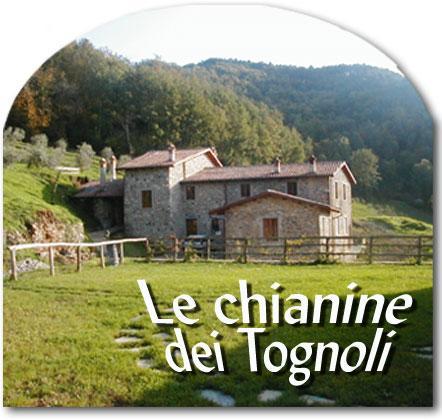Hotel Le Chianine Dei Tognoli Gragnola Exterior foto